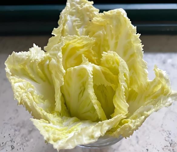 白菜芯.jpg