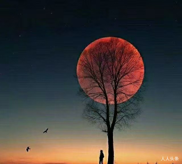 杨玉祥非虚构故事：大校工资三连涨 朗诵：丁然