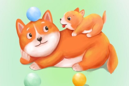 风华正茂是指代表正确打哪个生肖,猜解一释义最佳成语解释