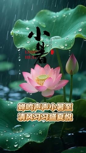 今晶小暑 | 荷风送香气，竹露滴清响